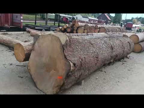 Kultur Pur#86.2 Seebrugg/IG Dreiseenbahn / Bahnhofsgelände