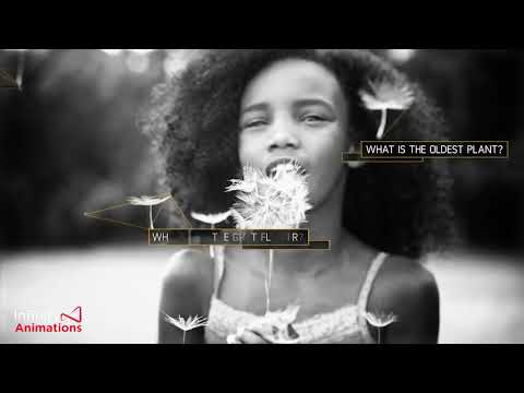 Infinity Animations video.