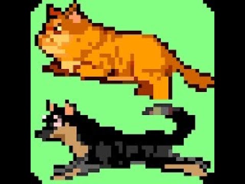 Cat and Dog Run on Screen Video