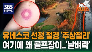 [사건why] 절경 보러 갔다가 팔에 '퍽'..'골프공' 날벼락 / SBS / 뉴스헌터스