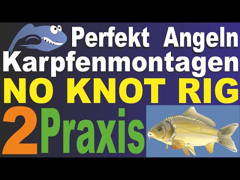 Perfekt Angeln – Karpfenmontagen TEIL 2 | Anleitung Haar Hair Rig, Tipps Vorfach, Haken, Angelknoten