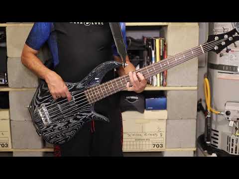 LionelRichie StuckOnYou (Bass Cover)