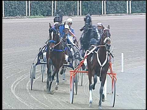 Trotto 11/12/2016 - 1ª corsa