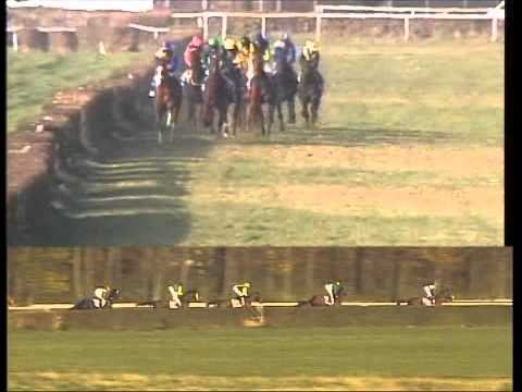 Galopprennbahn Dresden - 16.11.2011 - 3.Rennen