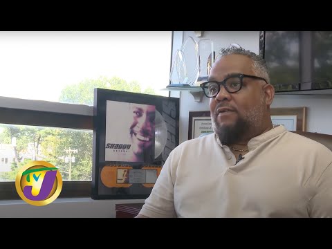 Irie Jam Radio Off the Air after Controversial Station Sale in New York | TVJ Entertainment Report