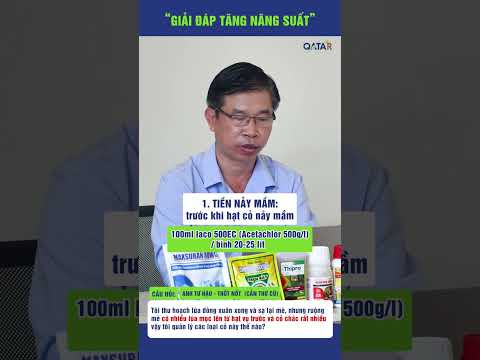 Giải đáp tăng năng suất số 4