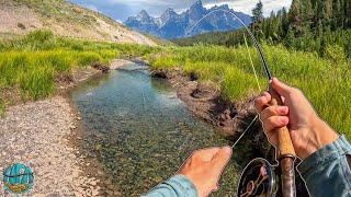 Fly Fishing for the Wyoming Cutthroat Slam - 5 Days of INSANE Trout Fishing!