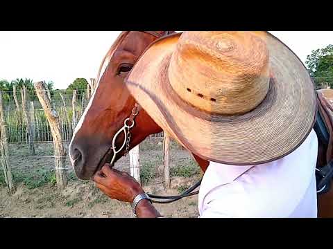 SOBRE O FREIO LEVANTADOR (pra que serve?)