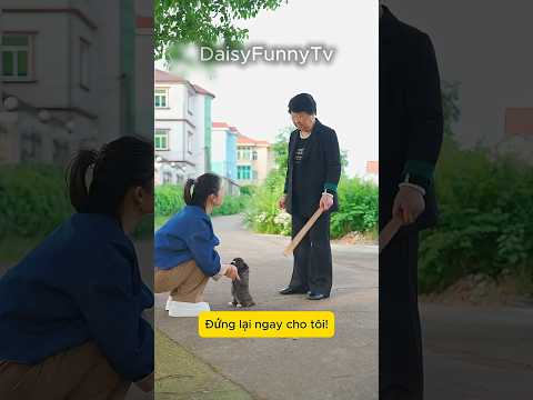 Định trộm vòng ngọc của chó đại gia và cái kết! 💎🐶💥