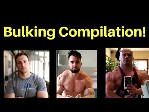 Bulking & Body-fat gain - Compilation ft. Mike Israetel, Eric Helms, Steve Hall (All time-stamped!)