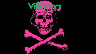 THE VIBRATORS...(Get a) grip (on Yourself)