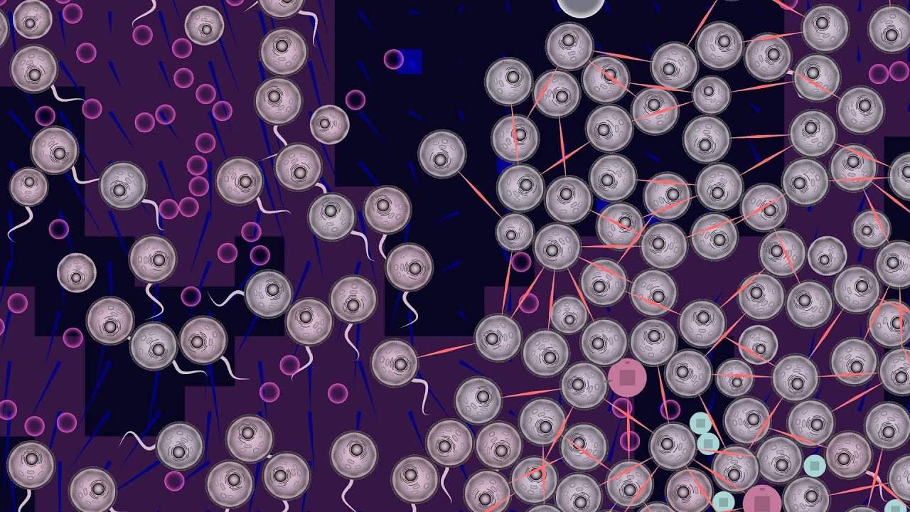 Artificial life, evolution, the origins of multicellularity