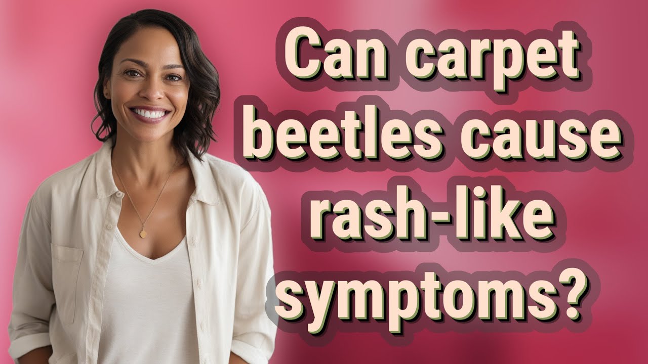 Can carpet beetles cause rash-like symptoms?