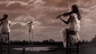 When You're Gone. The Cranberries