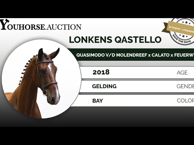 Lonkens Qastello showvideo