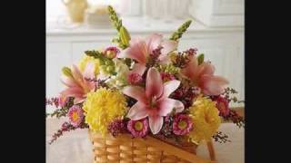 ma&#39;ili he matangi