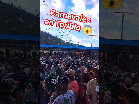 carnavales en Toribio cauca 🙈