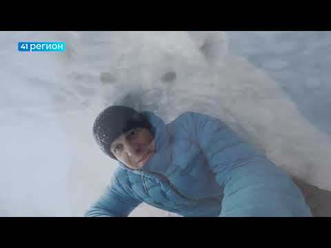 ПЕРВЫЙ ПОКАЗ ДОКУМЕНТАЛЬНОГО ФИЛЬМА О БЕЛЫХ МЕДВЕДЯХ СОСТОЯЛСЯ НА КАМЧАТКЕ • НОВОСТИ КАМЧАТКИ