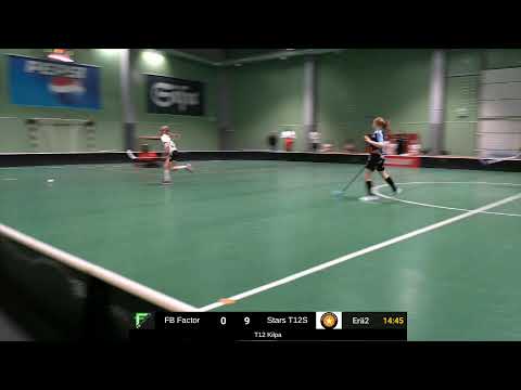 FB Factor T12 - Stars T12S