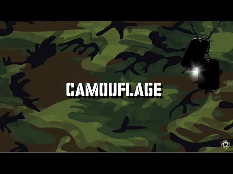 Stan Ridgway - Camouflage [Lyrics]