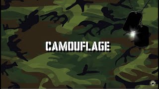 Stan Ridgway - Camouflage [Lyrics]