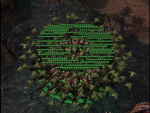 Starcraft 2 - 50 BROODLORDS vs NOOB :)