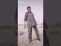 Gulami Movie Mithun Da Tik Tok Zihale Masti