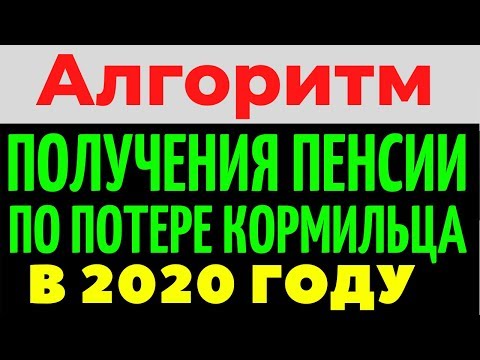 Алгоритм получения пенсии по потере кормильца в 2020 году