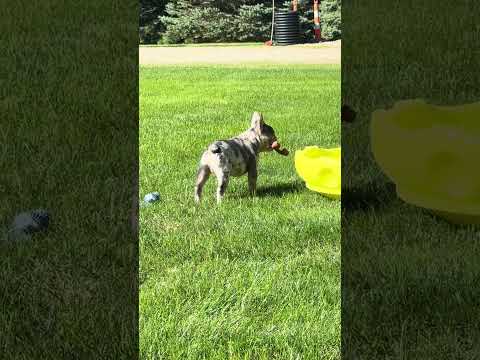 Video 7