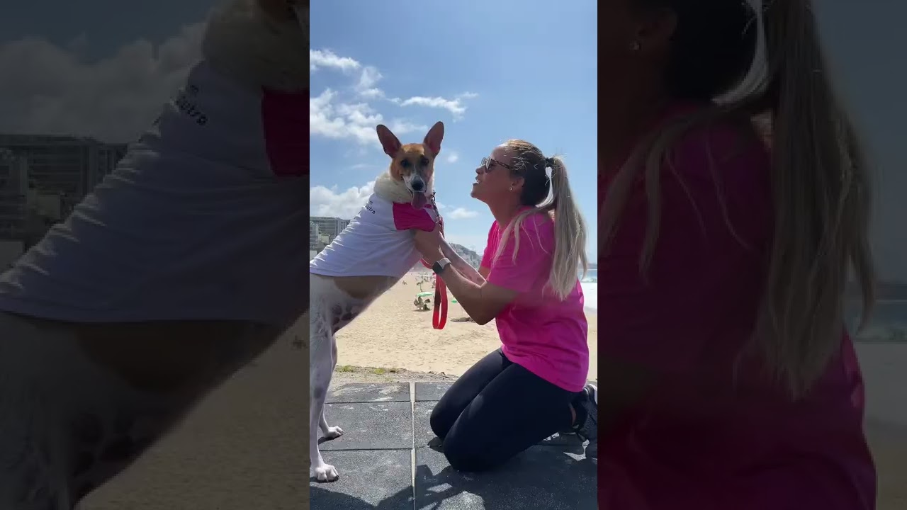 Unboxing Canino - roupa para cachorro com camiseta