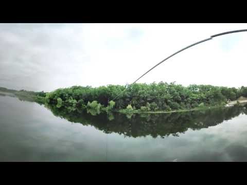 360 Degree Zipline - Treetop Trekking