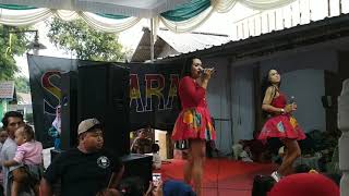Download lagu Jaran goyang 'new shabara' rock dangdut mp3