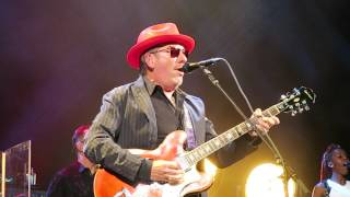 "You'll Never Be a Man" - Elvis Costello