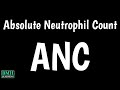 Absolute Neutrophil Count Test | ANC Test | Neutrophil Count Formula | Neutrophil Count Test |