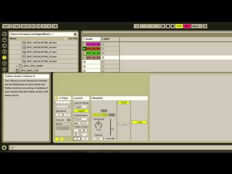 Ableton Clip Launching and Follow Actions