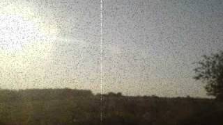 Pyetro vs Kim Wilde 2010  -    Stay awhile (slow break )                       5:11       Demo