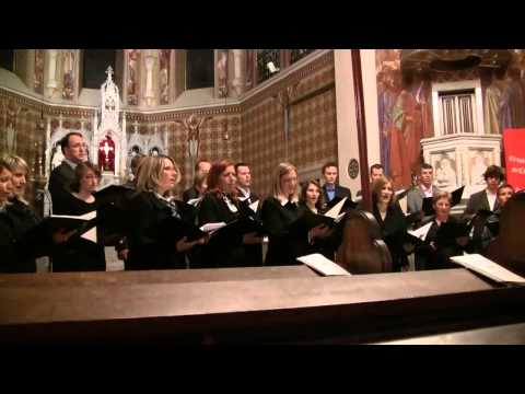 Anton Förster, Vecerni ave