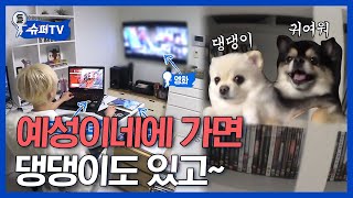 Download lagu [#슈퍼TV1] 슈퍼주니어 예성 집 대공개★ 세상 귀여운 멍멍이와 영화 덕후다운 DVD들! 그리고 세상 다정한 가족분들까지,, | #Diggle mp3