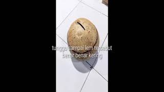 Download lagu Tugas PKWU Kerajinan, Celengan Dari Batok Kelapa mp3