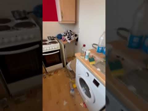 ADB CLEANING video.