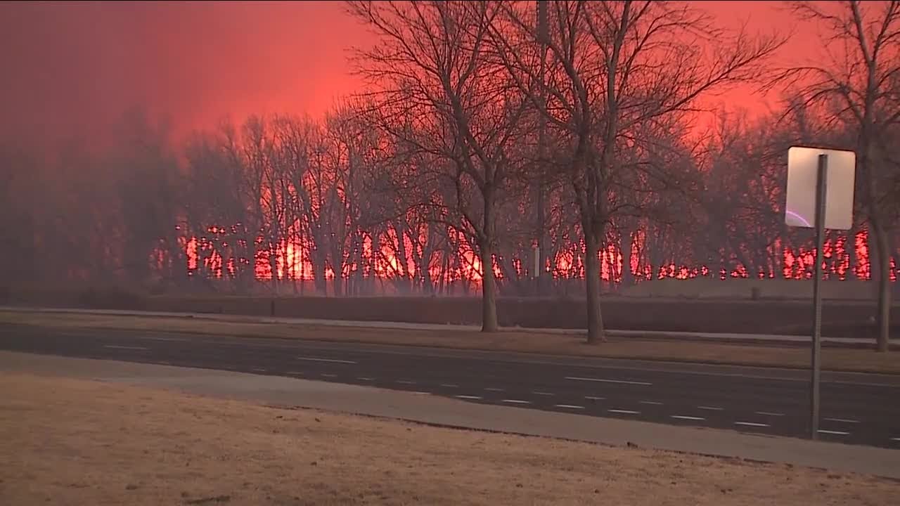 Artificial intelligence developed by NCAR will identify forests with high fire risks