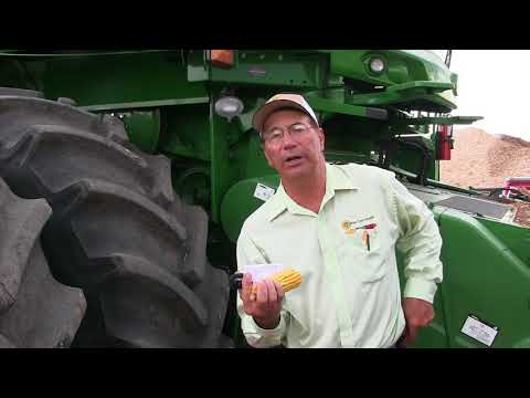 Marion Calmer on Minimizing Cracked Grain During Harvest