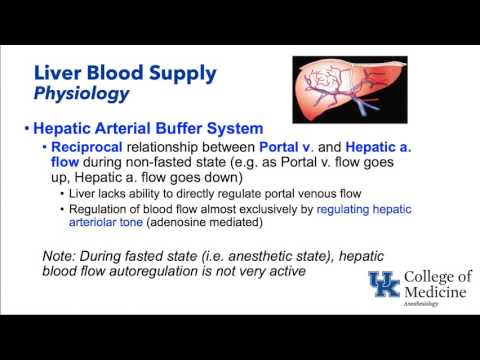 Hepatic Physiology and Anesthesia - Dr. Schell