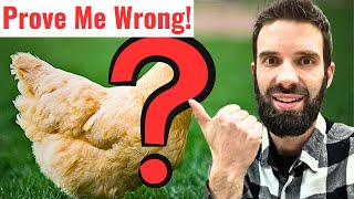 THE BEST Chicken Breed for Homesteading. Months of Intense Research