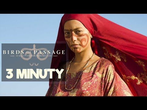 Sny wędrownych ptaków - Recenzja w 3 minuty