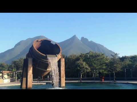 Un solo cuerpo - Rebajada