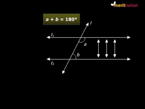 What is Euclid's fifth postulate and parallel lines?