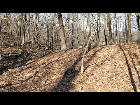 27FEB20 - Spirits are everywhere.  Compassion is the best way to create the most powerful life.