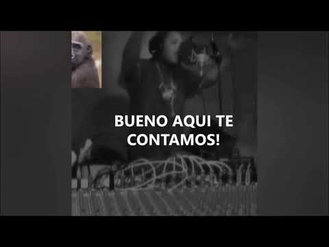 JC EL Discipulo Amado - Mi tiempo  (Time Of God Riddim) 2018