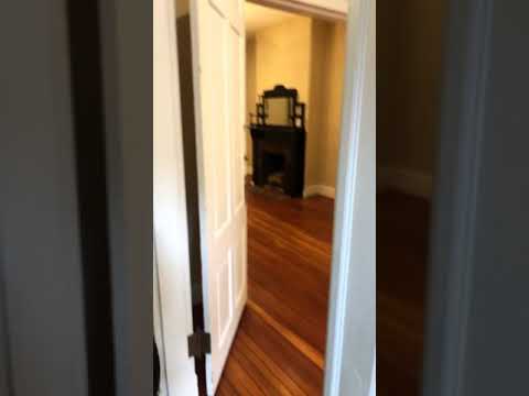 1593 - Blankespoor - Video 2 of 2